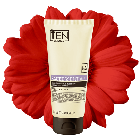 TEN Face Essentials — Delicate Sugar Scrub