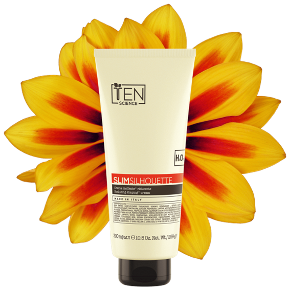 TEN Slim Silhouette — Reducing Shaping Creme